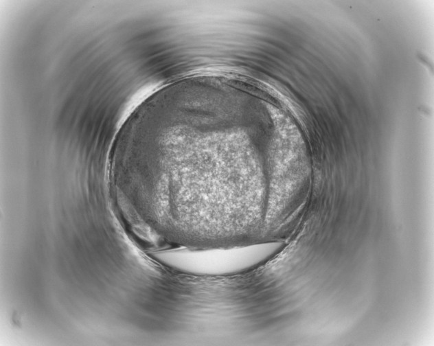 X0000093211050200710241153