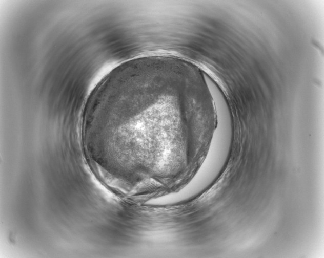 X0000093211054200710241153