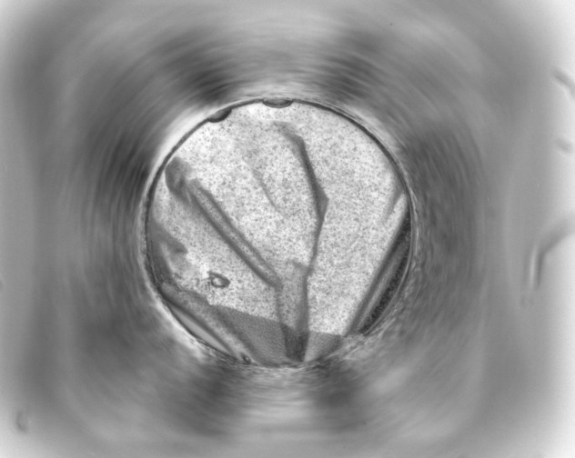 X0000093211056200710241153