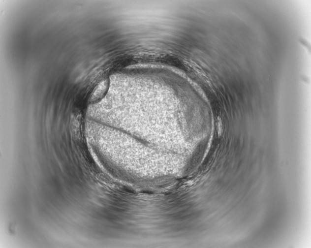 X0000093211059200710241153