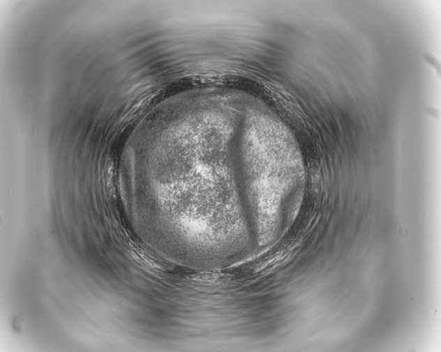 X0000093211060200710241153