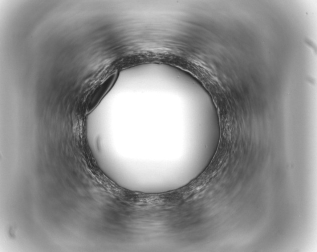 X0000093211061200710241153