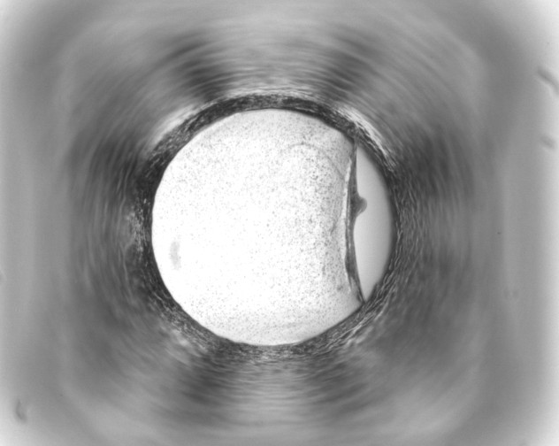 X0000093211064200710241153