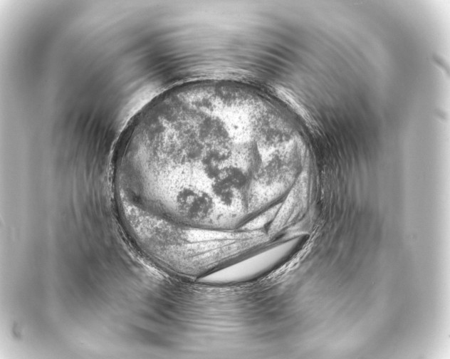 X0000093211071200710241153