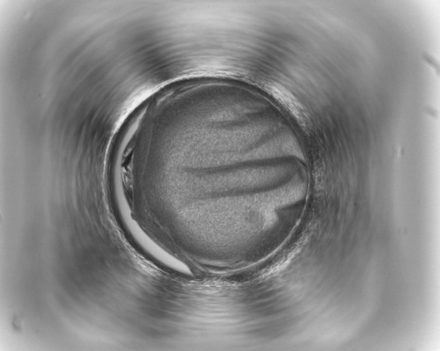 X0000093211077200710241153