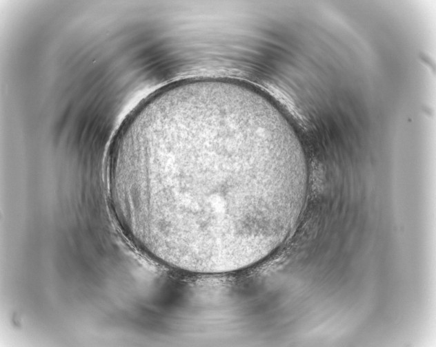X0000093211078200710241153