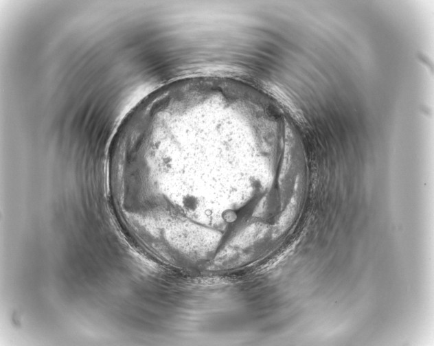 X0000093211079200710241153