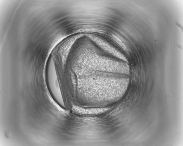 X0000093211084200710241153