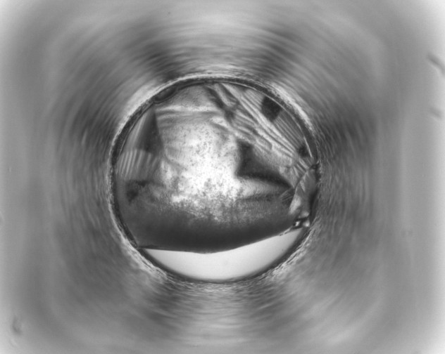 X0000093211085200710241153
