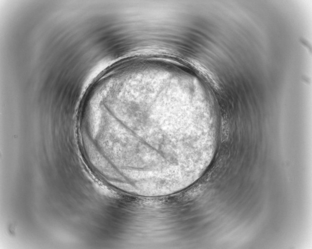 X0000093211086200710241153