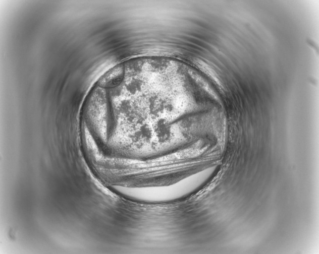 X0000093211087200710241153