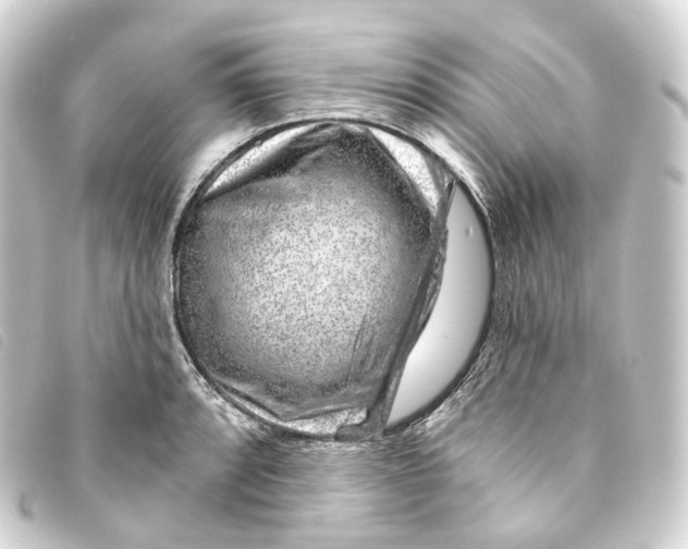 X0000093211088200710241152