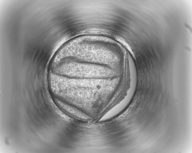 X0000093211091200710241152