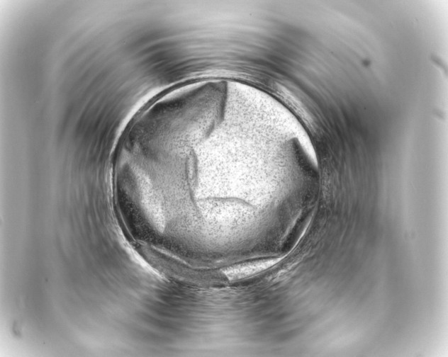 X0000093211092200710241152