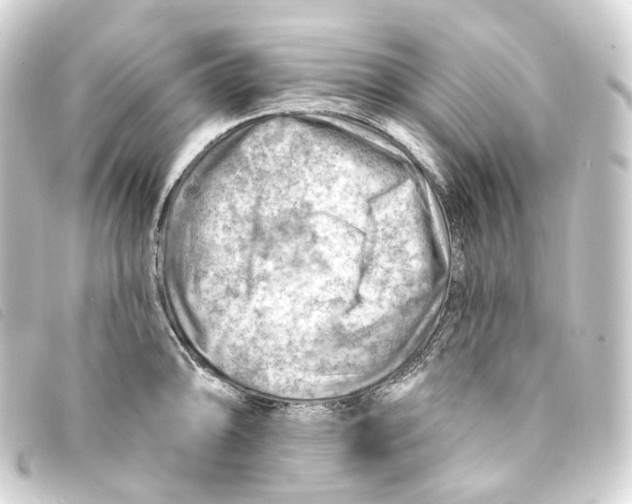 X0000093211094200710241152