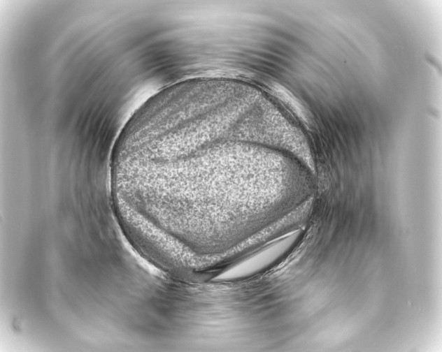 X0000093211095200710241152