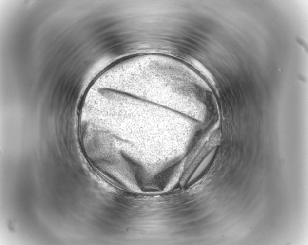 X0000093211096200710241152