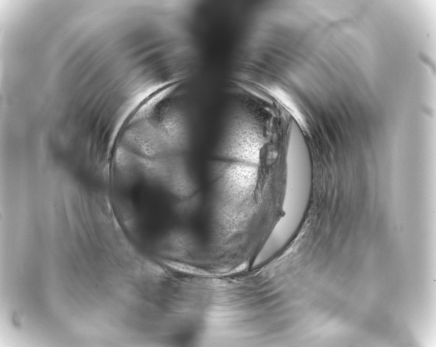 X0000093211100200710241152