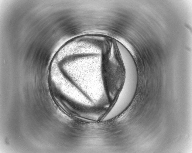 X0000093211102200710241152