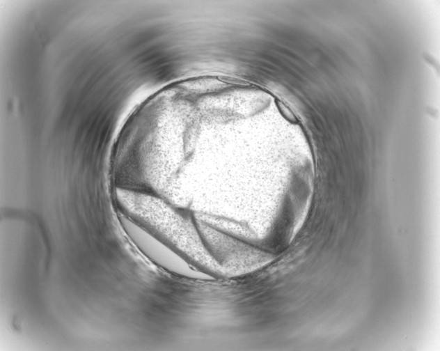 X0000093211104200710241152