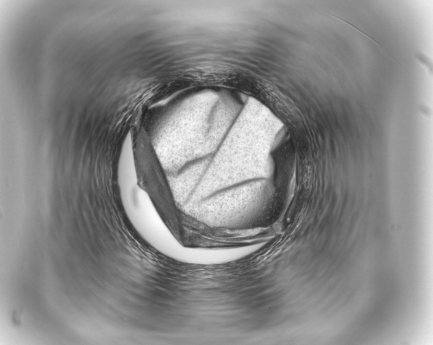 X0000093211108200710241151