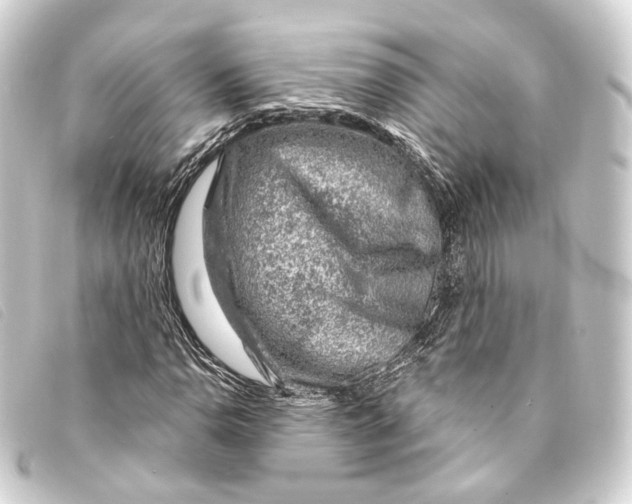 X0000093211110200710241151