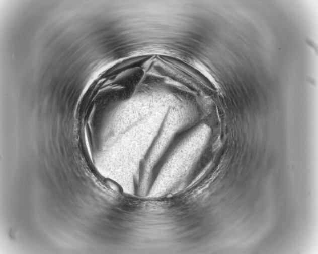 X0000093211116200710241152