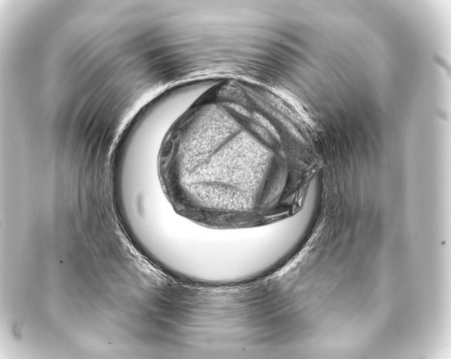 X0000093211118200710241152