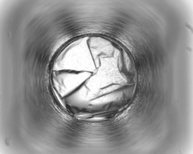 X0000093211119200710241152
