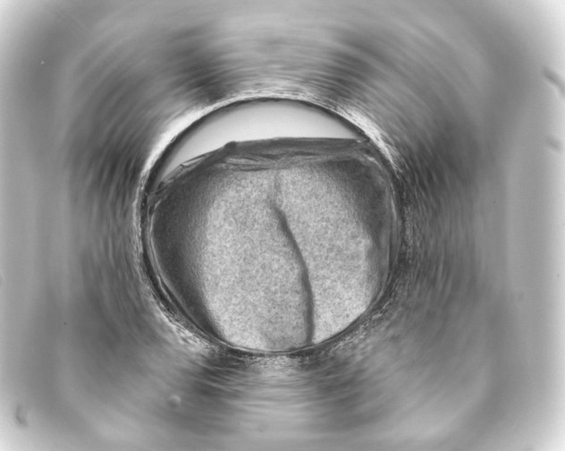 X0000093211120200710241152