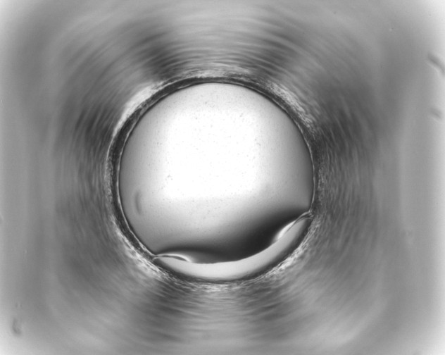 X0000093211122200710241152
