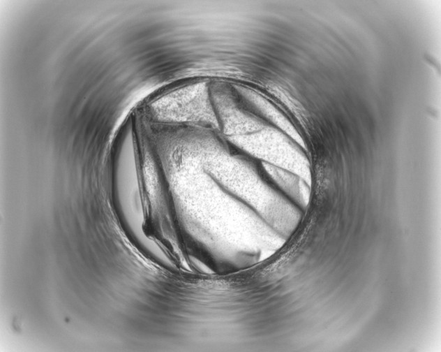 X0000093211123200710241152
