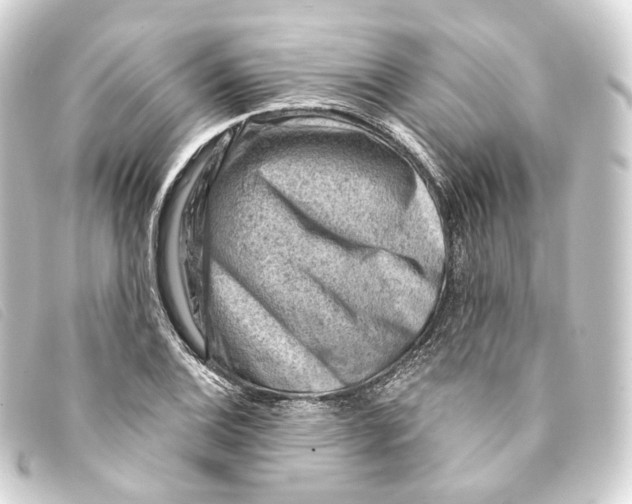 X0000093211124200710241152