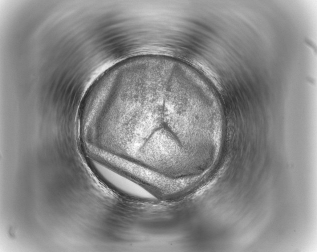 X0000093211125200710241152