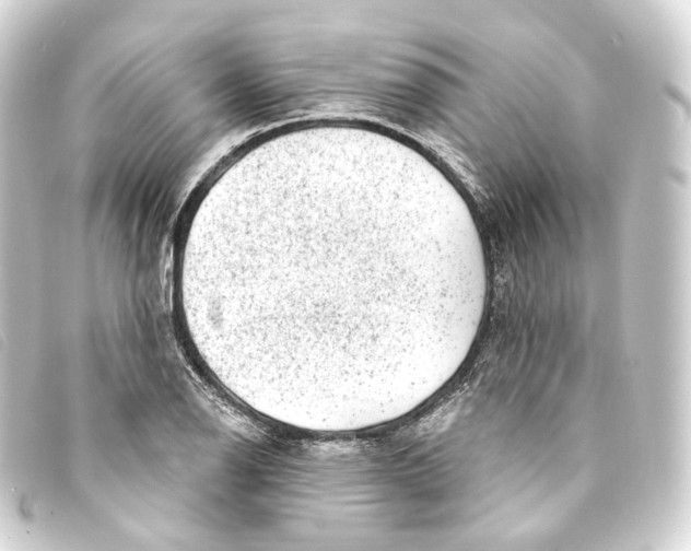 X0000093211126200710241152