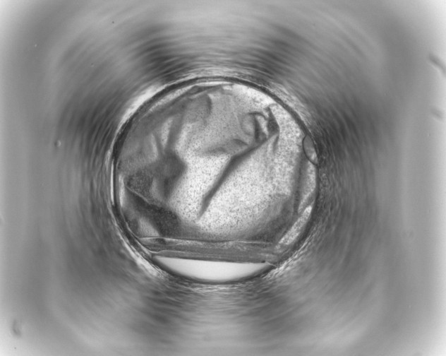 X0000093211127200710241152