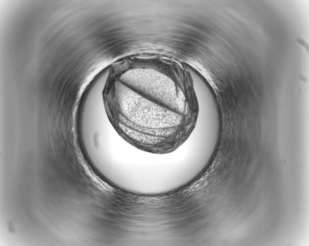 X0000093211128200710241152