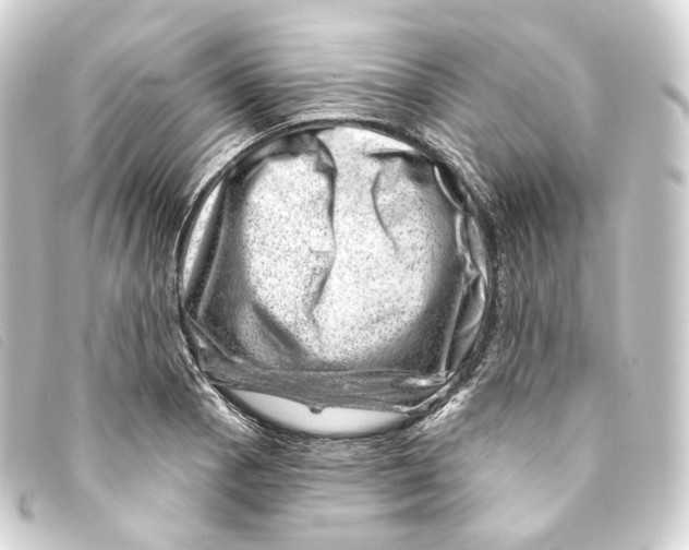 X0000093211129200710241152
