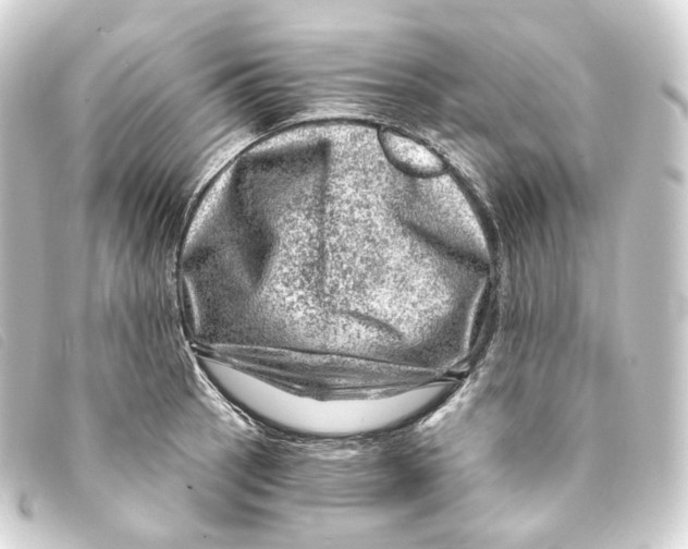 X0000093211137200710241152