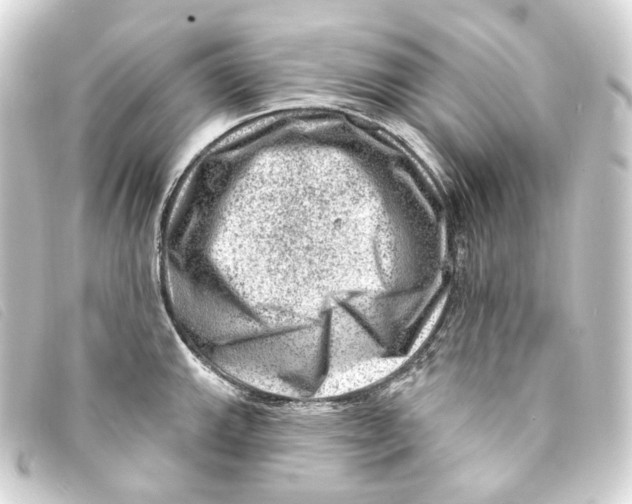 X0000093211143200710241152