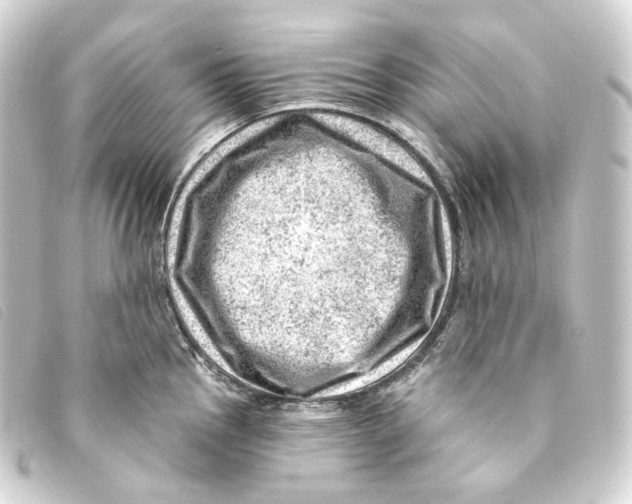 X0000093211145200710241152