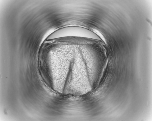 X0000093211146200710241152