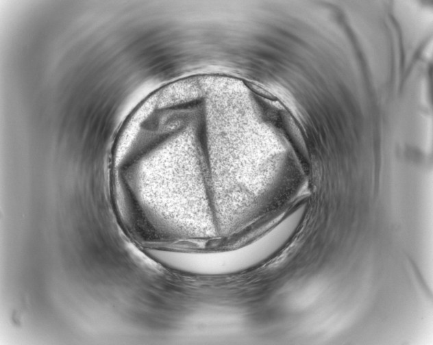 X0000093211151200710241152
