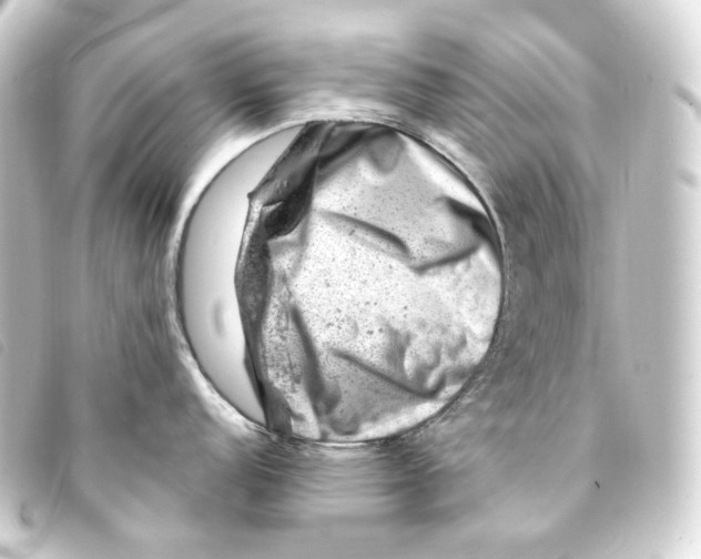 X0000093211152200710241152