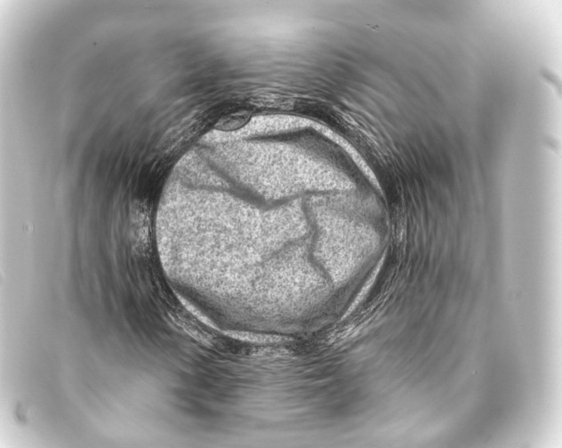 X0000093211154200710241151