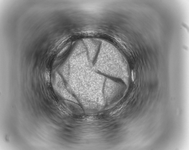 X0000093211155200710241151