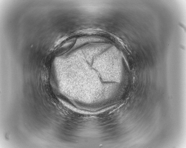 X0000093211158200710241151