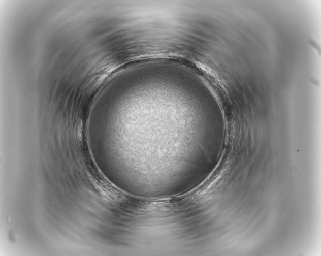 X0000093211161200710241151