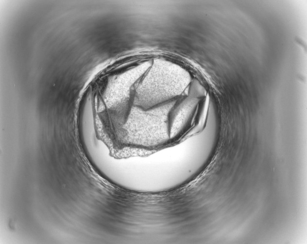 X0000093211168200710241151