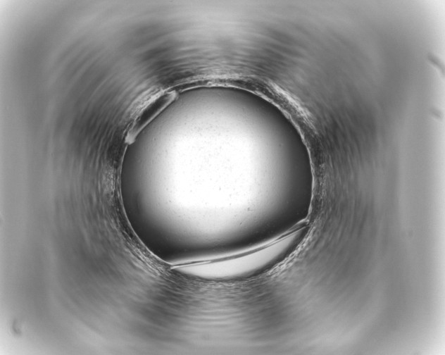 X0000093211169200710241151